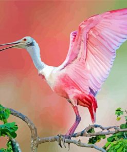 Cute Roseau Spoonbill Diamond Paintings