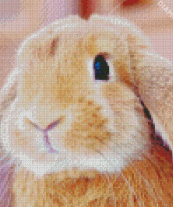 Adorable Female Bunny Diamond Paintings