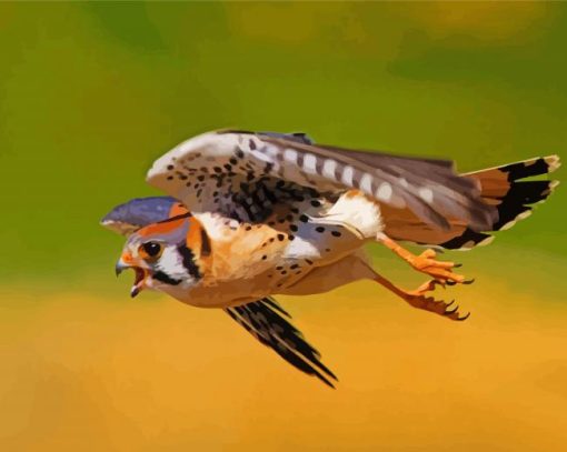 Flying Kestrel Bird Diamond Paintings