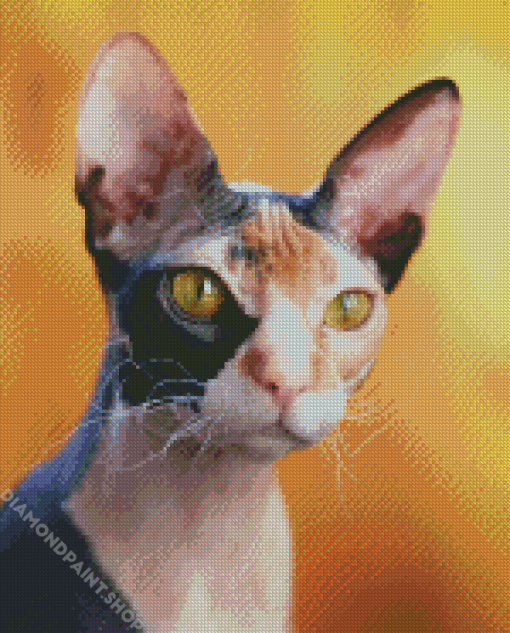 Hairless Kitty Diamond Paintings