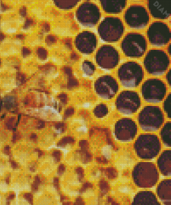 Honeycomb Art Diamond Paintings