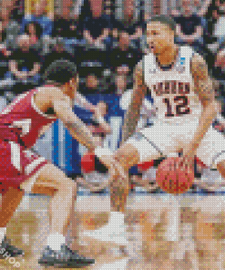 Auburn Tiger Basketballers Diamond Paintings