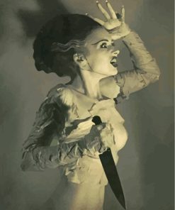 Bride Of Frankenstein Art Diamond Paintings