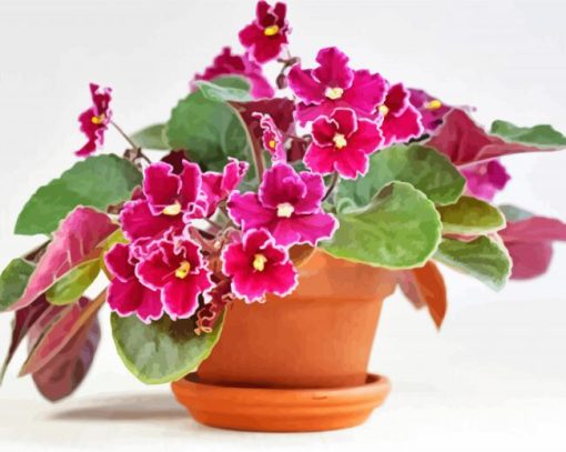 African Violets RosesDiamond Paintings