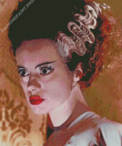 Bride Of Frankenstein Diamond Paintings