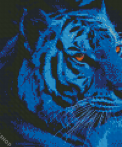 Tiger With Brilliant Eyes Diamond Paintings