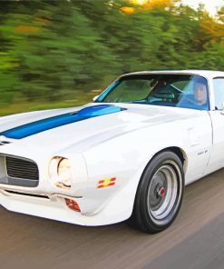 White Trans Am Diamond Paintings