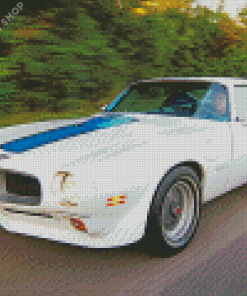 White Trans Am Diamond Paintings