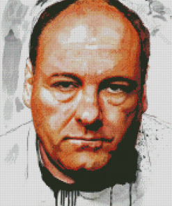 James Gandolfini Diamond Paintings