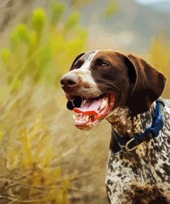 Shorthaired Pointer Puppy Diamond Paintings