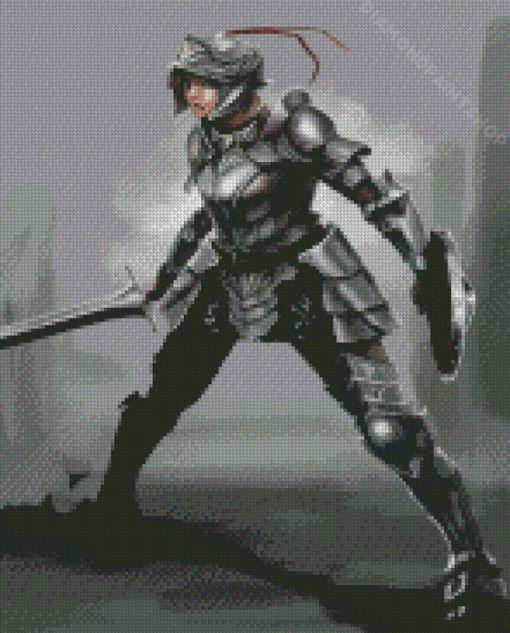 Armor Woman Diamond Paintings