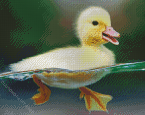 Baby Duck Birds In Water Diamond Paintings