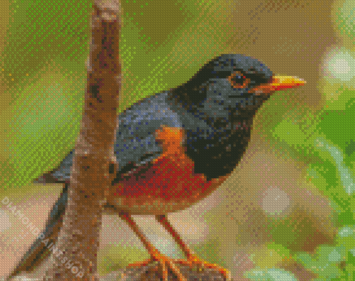 Izu Thrush Bird Diamond Paintings