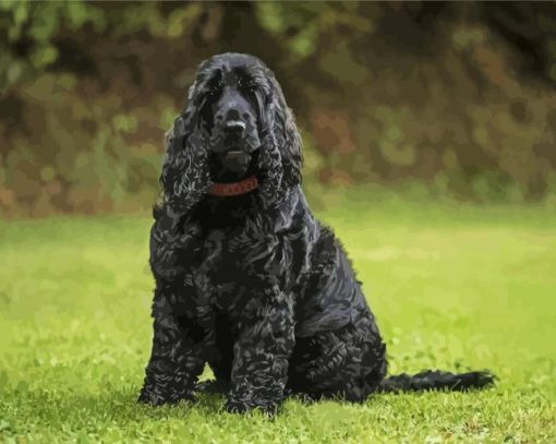 Black Cocker Spaniel Dog Diamond Paintings