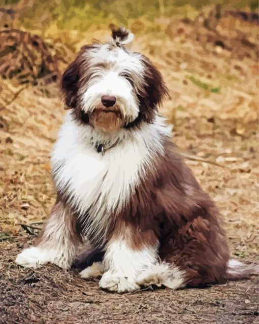 Bearded Collie Puppy Diamond Paintings