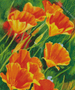 California Poppies Art Diamond Paintings