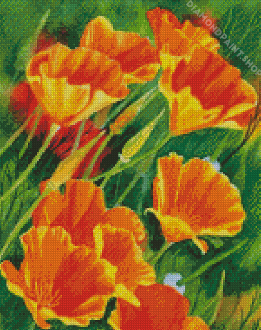 California Poppies Art Diamond Paintings