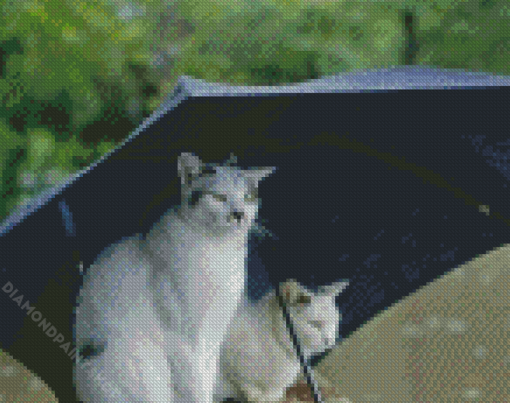 Cats Under Umbrella Diamond Painting