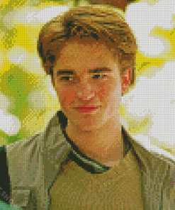 Cedric Diggory Character Diamond Paintings