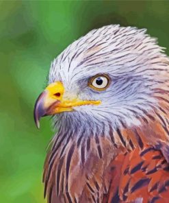 Close Up Red Kite Diamond Paintings