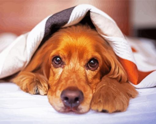 Cocker Dog With Blanket Diamond Paintings