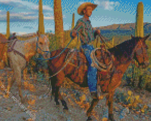 Cowboy In Arizona Diamond Paintings