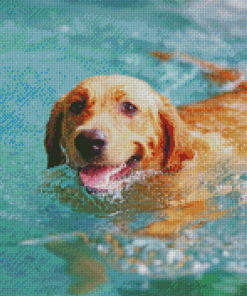 Dog In Water Diamond Paintings