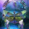 Dreamcatcher Dragonfly Diamond Paintings