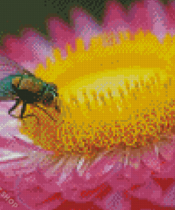 Fly On The Flowers Diamond Paintings