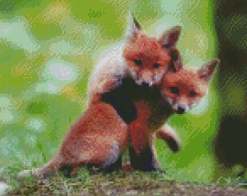 Fox Cubs Diamond Paintings