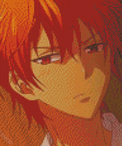 Fuits Basket Kyo Sohma Diamond Paintings