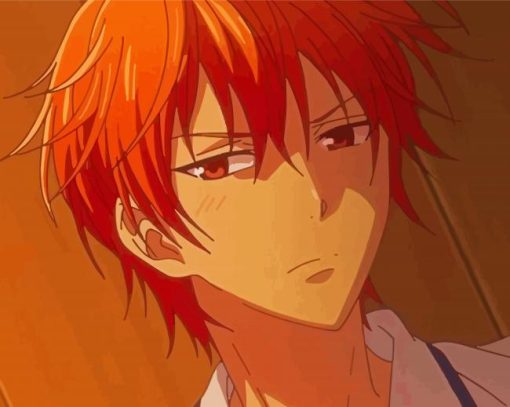 Fuits Basket Kyo Sohma Diamond Paintings