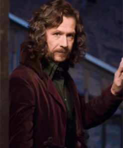 Harry Potter Sirius Black Diamond Paintings