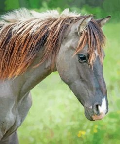 Indian Pony Horse Diamond Paintings