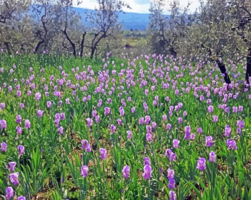 Iris Field Diamond Paintings