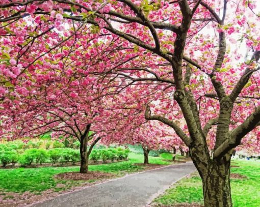 Cherry Blossom Garden Diamond Paintings