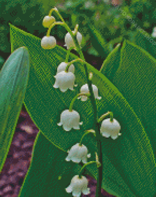 Lilly Of The Valle Diamond Paintings