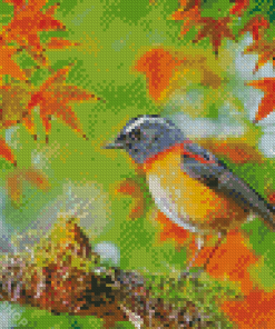 Adorable Robin Bird Diamond Paintings