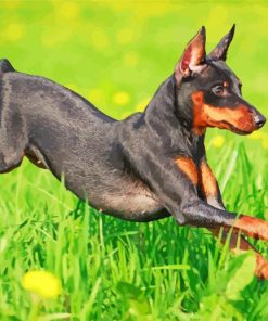 Miniature Pinscher Diamond Paintings