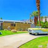 Aesthetic Palm Springs Diamond Paintings