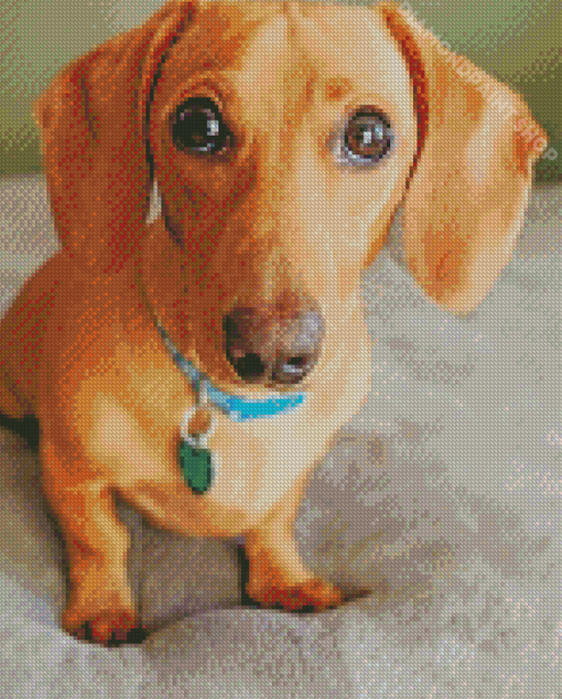 Red Dachshund Diamond Paintings