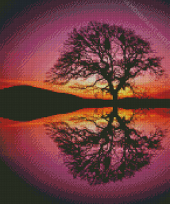 Tree Reflection Silhouette Diamond Paintings