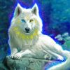 White Wolf Diamond Paintings