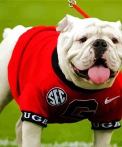 Adorable Georgia Bulldog Diamond Paintings