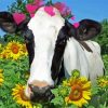 Aesthetic Cow With Sunflowers Art Diamond Paintings