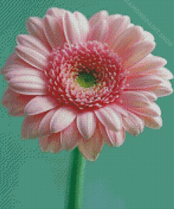 Aesthetic Flowers Pink Diamond Paintings