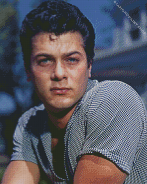 Aesthetic Tony Curtis Diamond Paintings