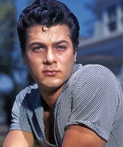 Aesthetic Tony Curtis Diamond Paintings