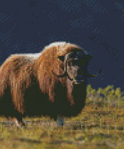 Aesthetic Muskox Diamond Paintings