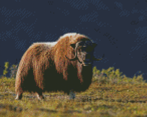 Aesthetic Muskox Diamond Paintings